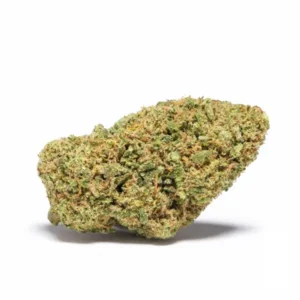 Guava