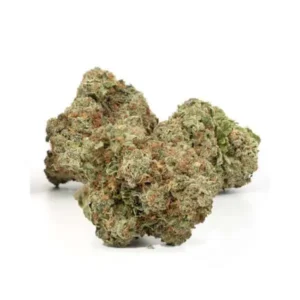 Critical Kush